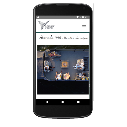 VCAT Screen 2