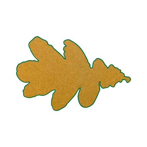 Floema Logo