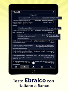 Immagine screenshot