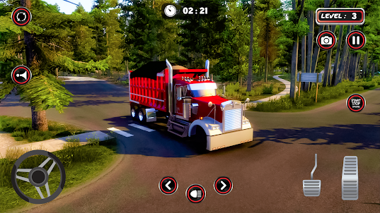 American Truck Dump Truck Game