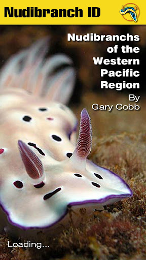 Android application Nudibranch ID Western Pacific screenshort