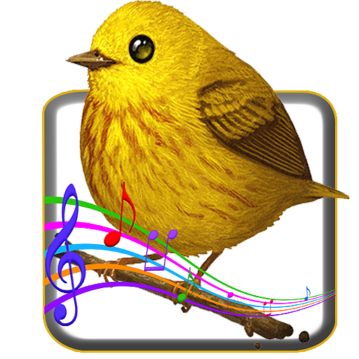 Птица со звуком ть. Птицы со звуком п. Аудио звук птицы. Звуки звонка птички.
