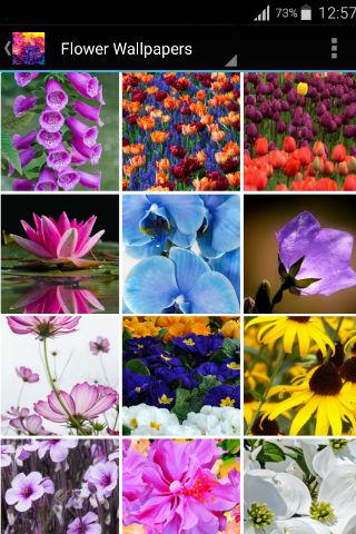 Floral wallpapers Screen 2