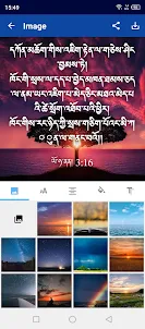 Tibetan English Mandarin Hindi