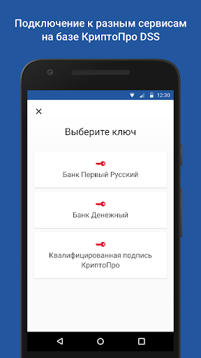 myDSS Screen 2