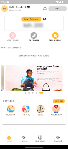 CEMES LOANS Screen 3