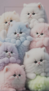 Cute Kitten Wallpaper HD