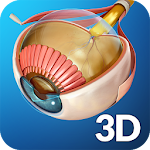 Cover Image of Download My Eye Anatomy  APK