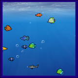 Bubble aquarium live wallpaper icon