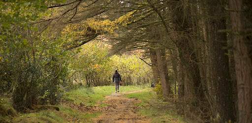 Smithills - Woodland Trust