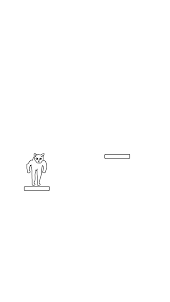 Cat Jum - Jumping Cat