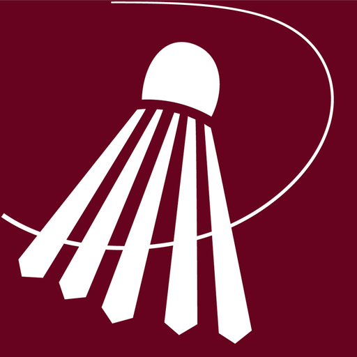 Badaqui logo