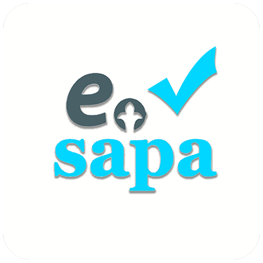 e-Sapa – проверка учетно-контр logo