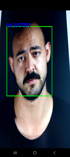 dEmo detection Screen 2