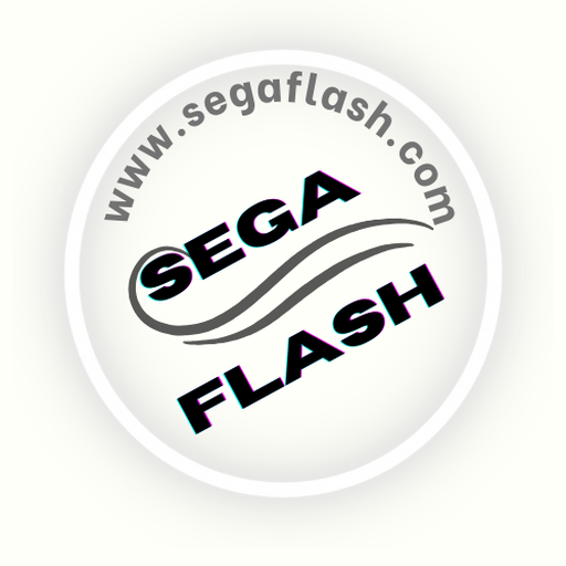 Sega Flash