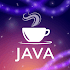 Learn Java4. 2.28 (Pro)