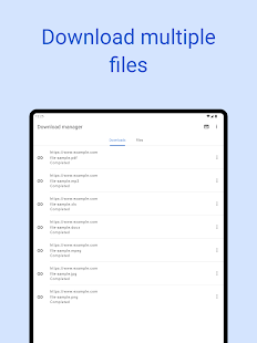Download manager لقطة شاشة