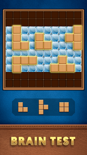 Brain Wood Puzzle Screen 3