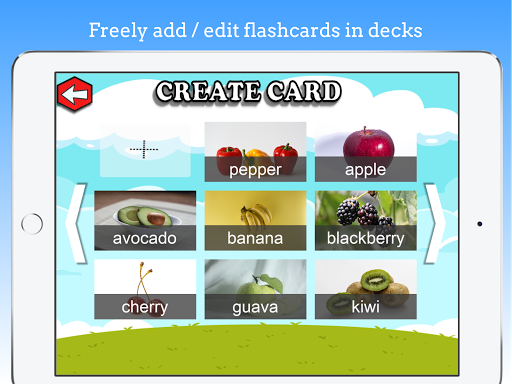 Flashcard Maker Pro