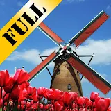 Tulip Windmill Live Wallpaper icon