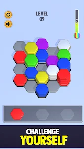Hexa Color Sort Blocks Puzzle