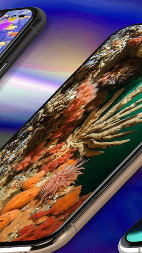Coral Wallpaper HD Screen 3