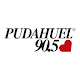 Pudahuel Radio Unduh di Windows