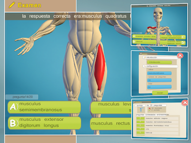 Imágen 8 Easy Anatomy 3D(learn anatomy) android