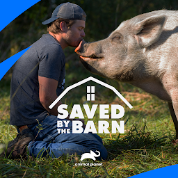 Ikonas attēls “Saved By the Barn”