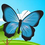 Cover Image of Download Butterflies  APK
