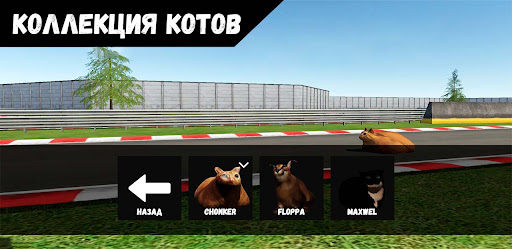 Pablo Cat Race Game Screen 2