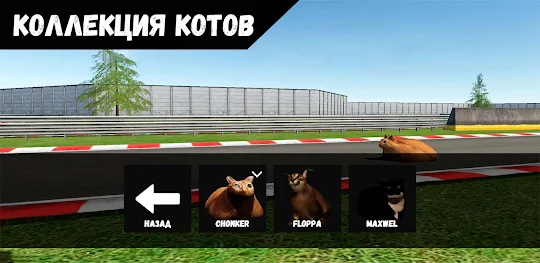 Pablo Cat Race Game