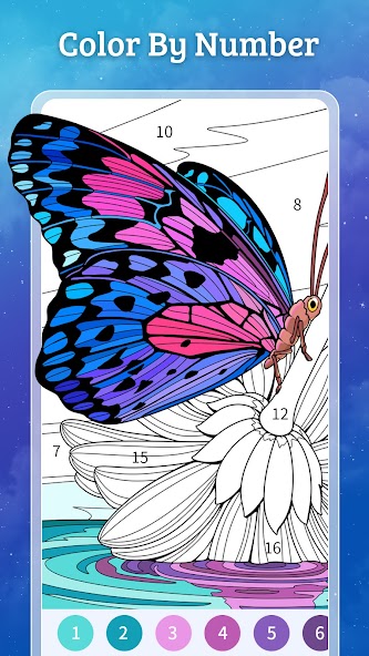Daily Coloring Paint by Number banner