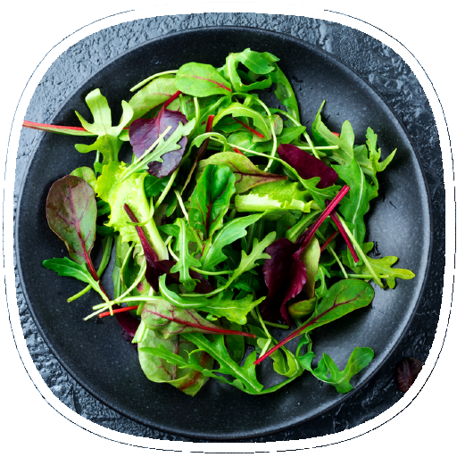 Green Salad Recipes
