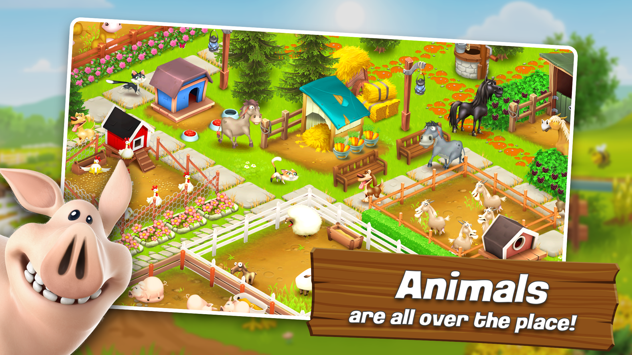 Hay Day Android APK (Mod Version)