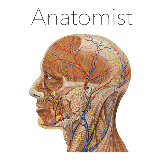 Anatomist - Anatomía Cuestiona