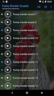 Funny Chicken Sounds ~ Sboard.pro Screenshot