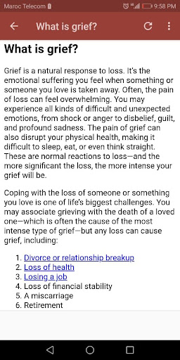 Coping with Grief and Loss Screen 2