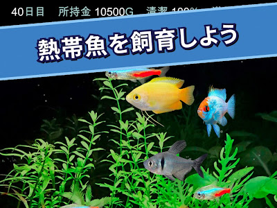 √100以上 アクアリウム ス���ホ 壁紙 魚 266438-アクアリウム 壁紙 高画質 pc