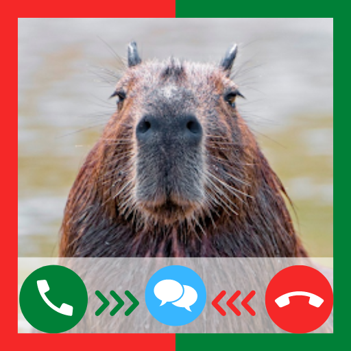 Capybara Funny Fake Call andchat