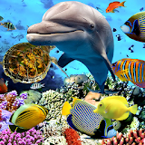 Aquarium Fish Live Wallpaper 2019 icon