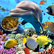 Aquarium Fish Live Wallpaper 2019 2.2.0.2501 Icon