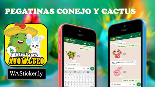 Vista previa de la aplicación