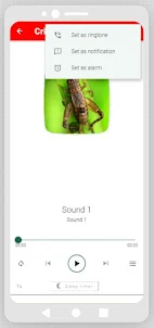 Crickets Singing Sounds
