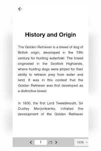 Dog Breed - Golden Retriever