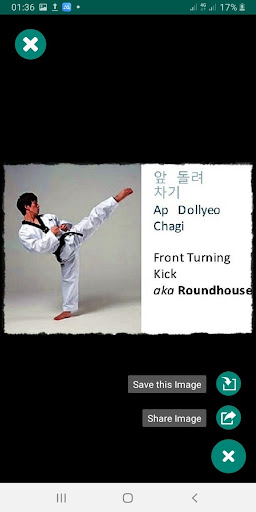 Learn Taekwondo Technique Screenshot 3 - AppWisp.com