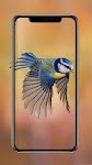screenshot of Birds Wallpaper