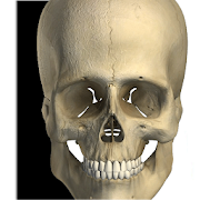 Top 18 Medical Apps Like Visual Bones - Best Alternatives