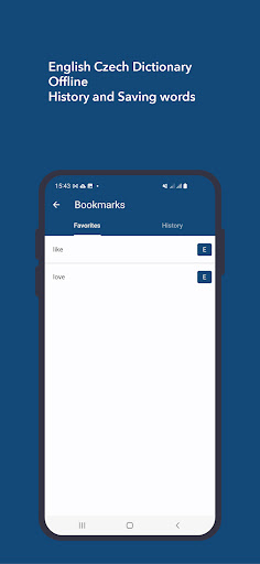 English Czech Dictionary Screen 3