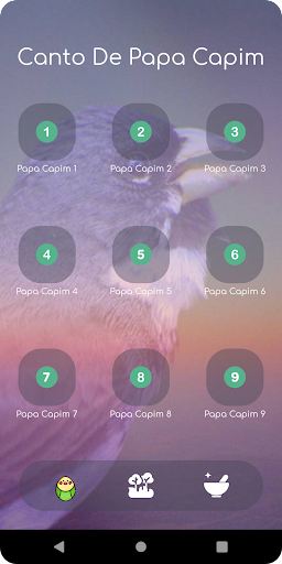 Canto De Papa Capim Screen 3
